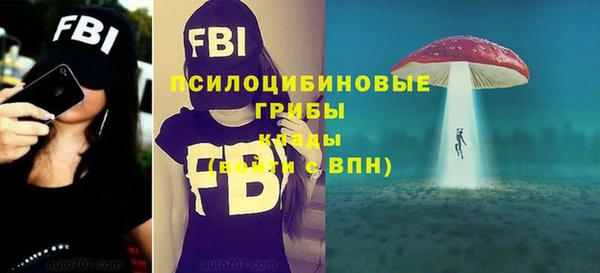 эйфоретик Алзамай